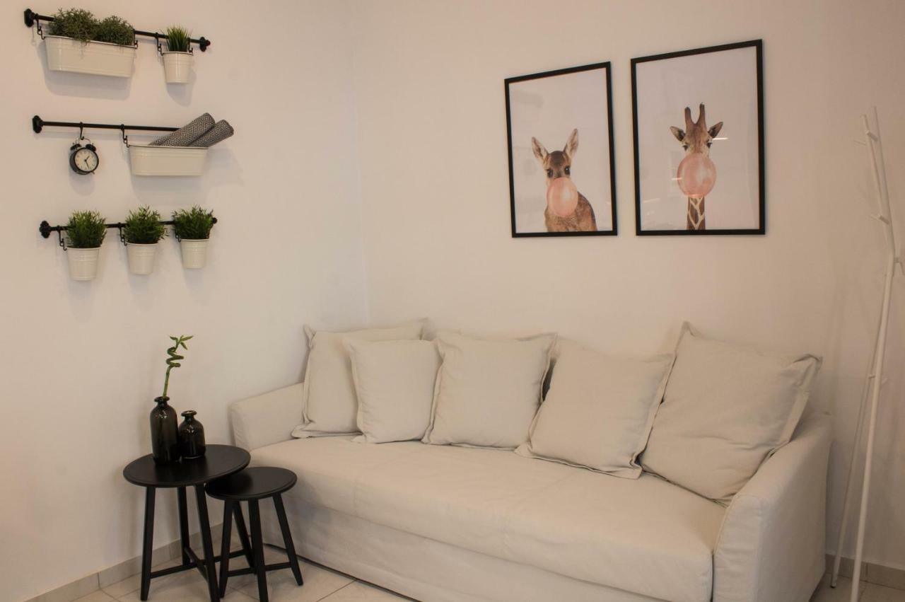 Super Stylish Apartments In Syntagma Square! Ateny Zewnętrze zdjęcie
