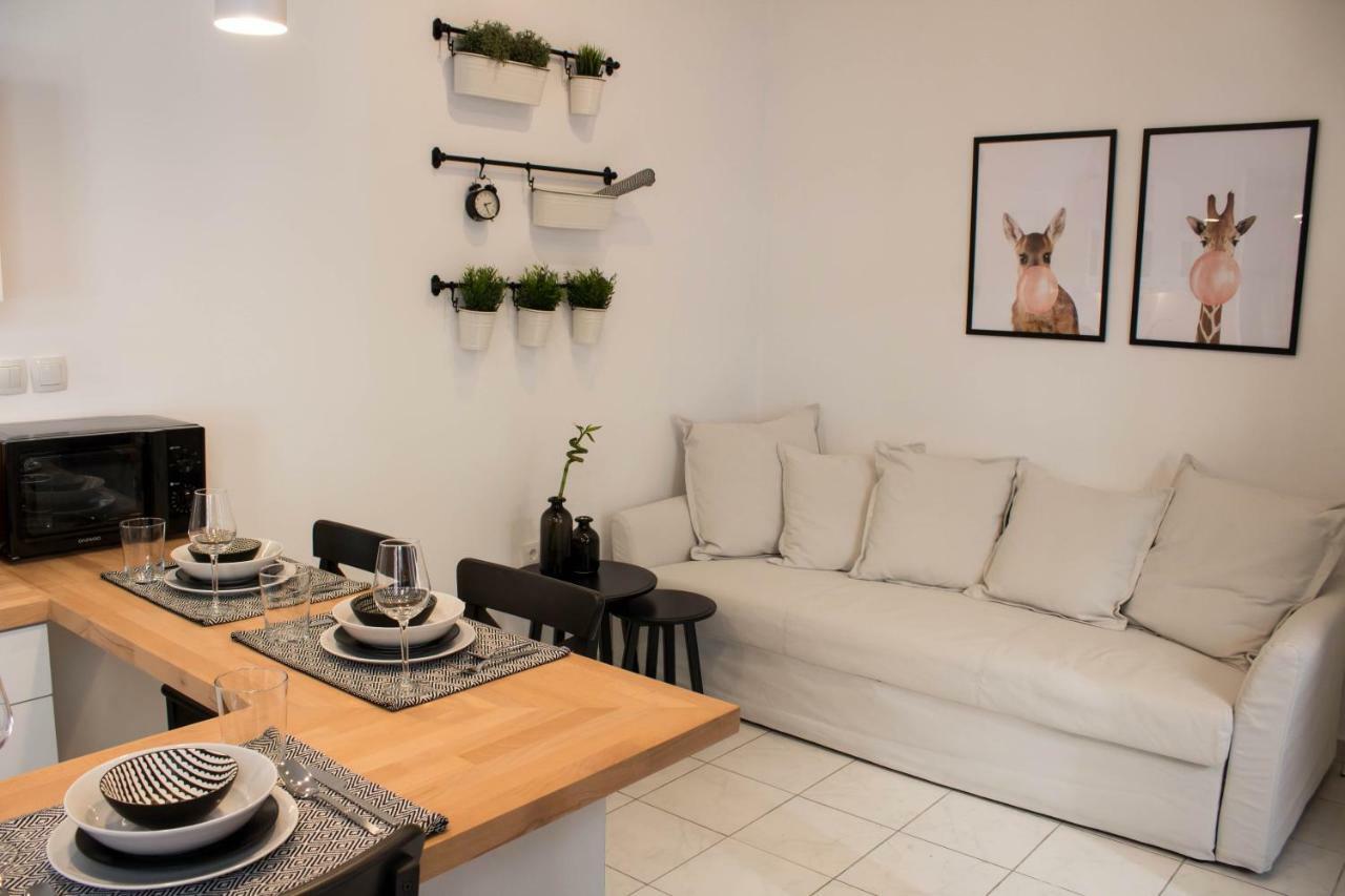 Super Stylish Apartments In Syntagma Square! Ateny Zewnętrze zdjęcie