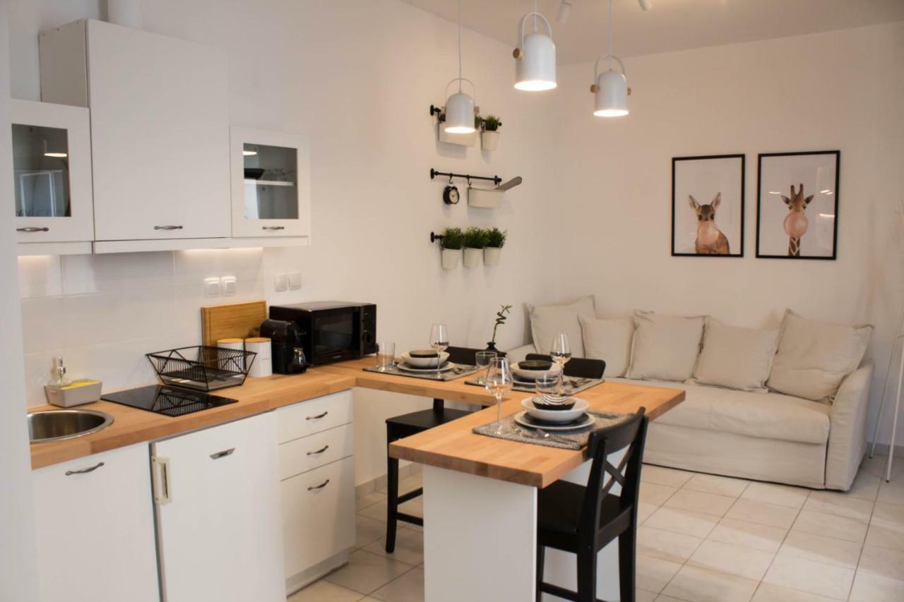 Super Stylish Apartments In Syntagma Square! Ateny Zewnętrze zdjęcie
